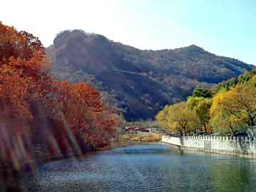 蓝天观赏鸽论坛，亚麻籽榨油机